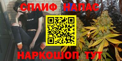 стафф Будённовск