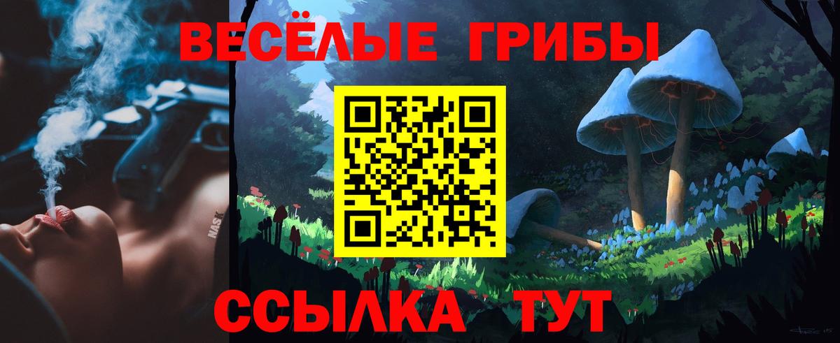 Галлюциногенные грибы мицелий Новокубанск